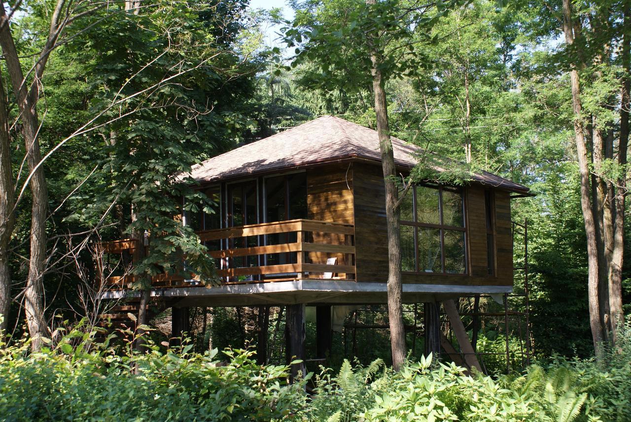 Porumbacu Treehouse Porumbacu de Sus Extérieur photo