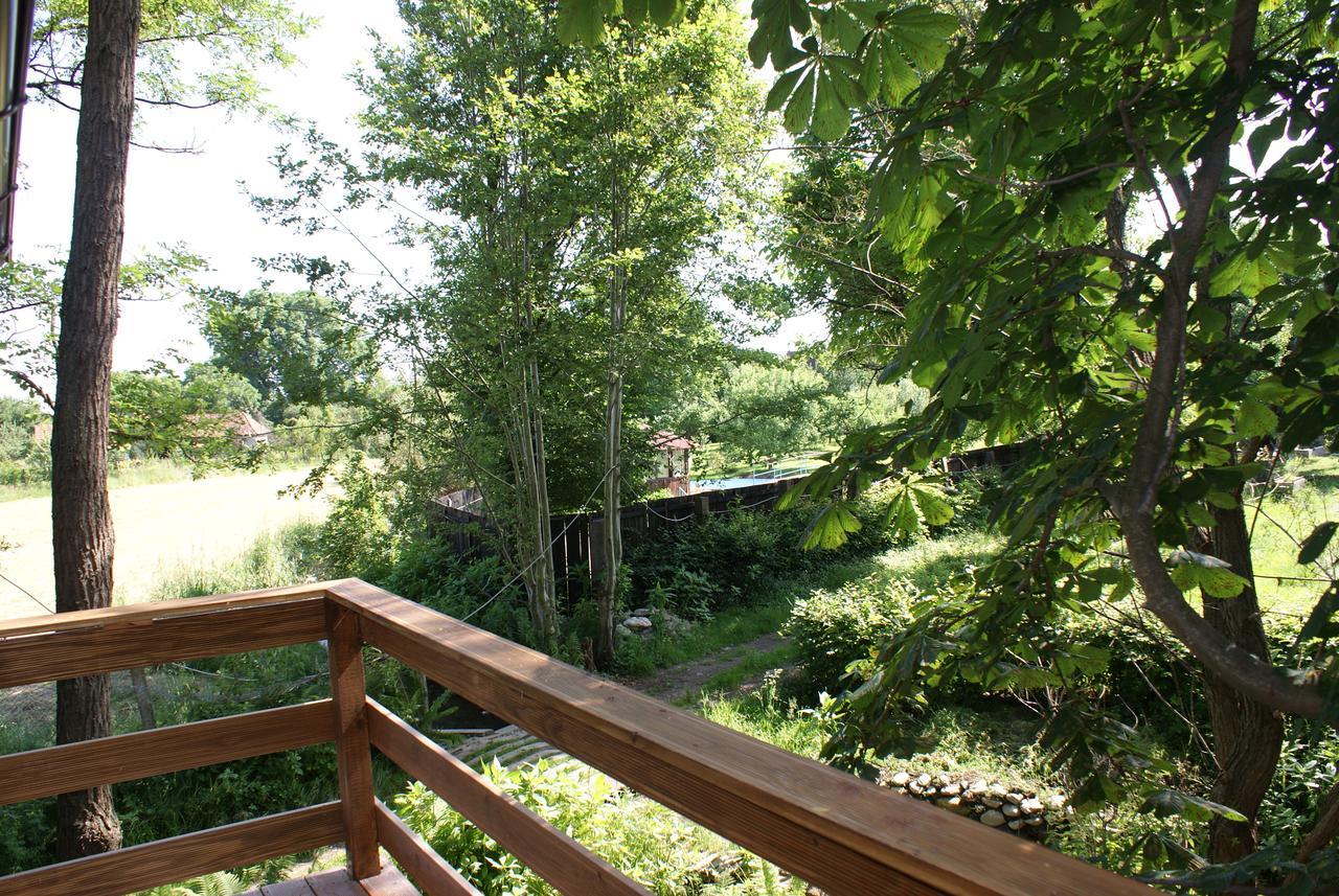 Porumbacu Treehouse Porumbacu de Sus Extérieur photo