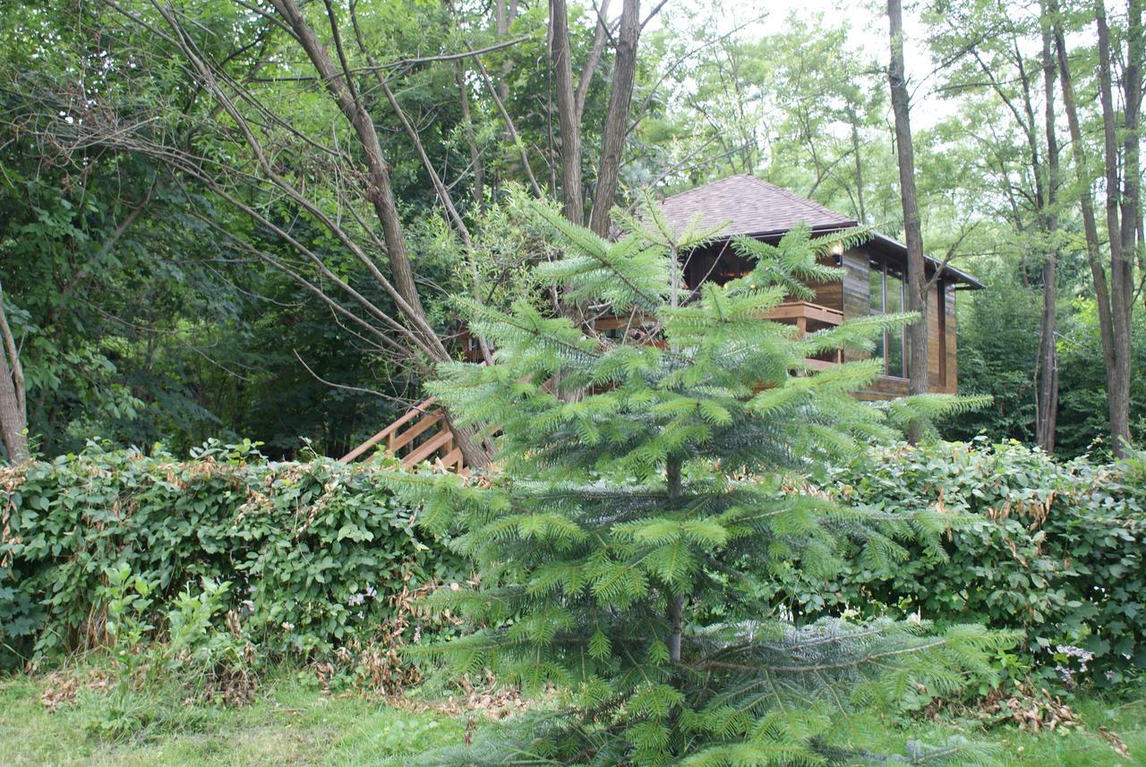 Porumbacu Treehouse Porumbacu de Sus Extérieur photo