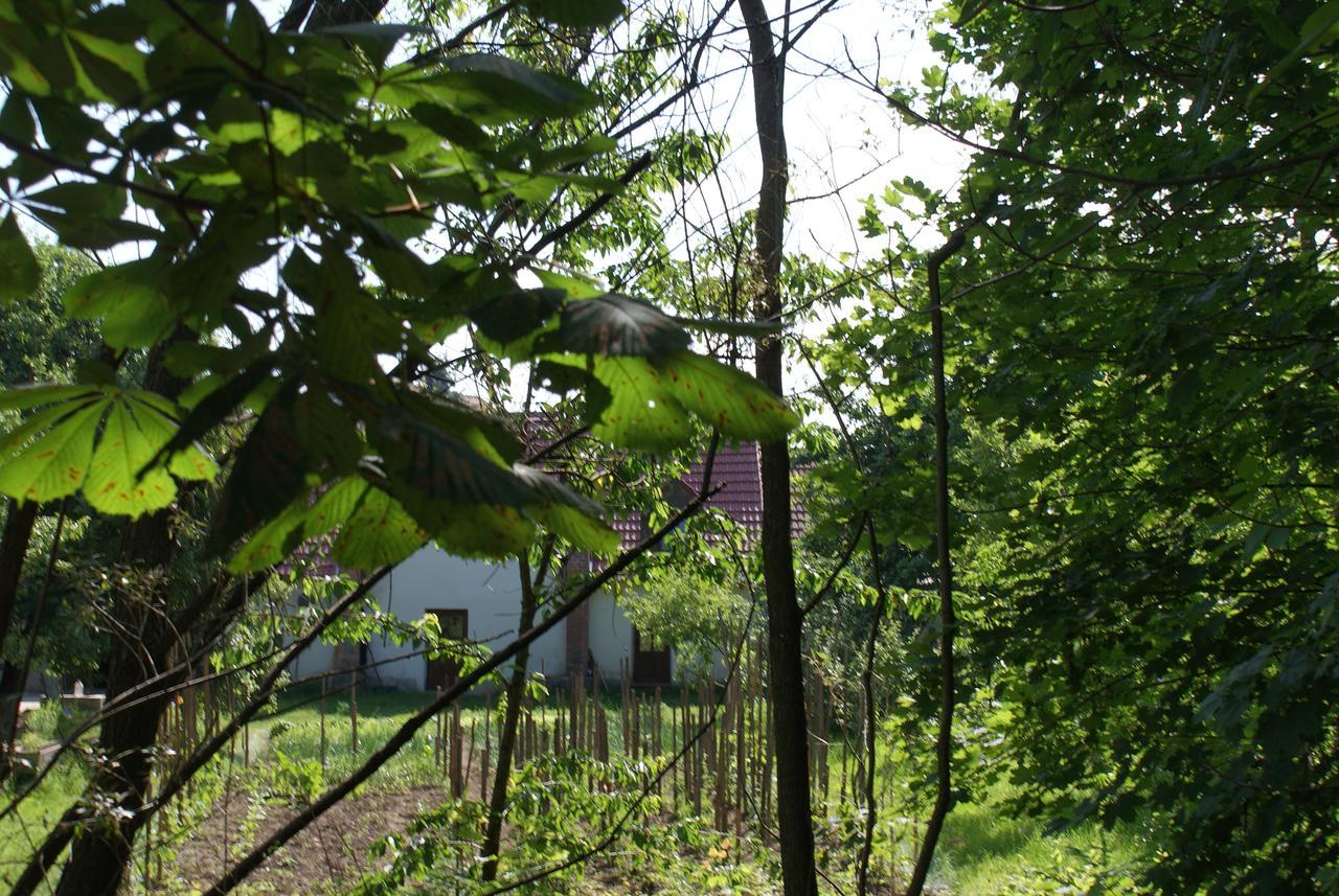 Porumbacu Treehouse Porumbacu de Sus Extérieur photo